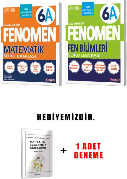 Fenomen Yayınlıcılık 6.sınıf A Grubu 2'li Set (Güncel)