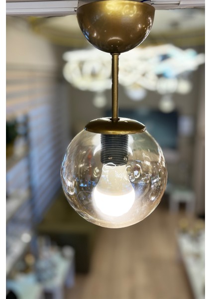 Globe Gold ONE Bal Sarı Cam Avize modelleri