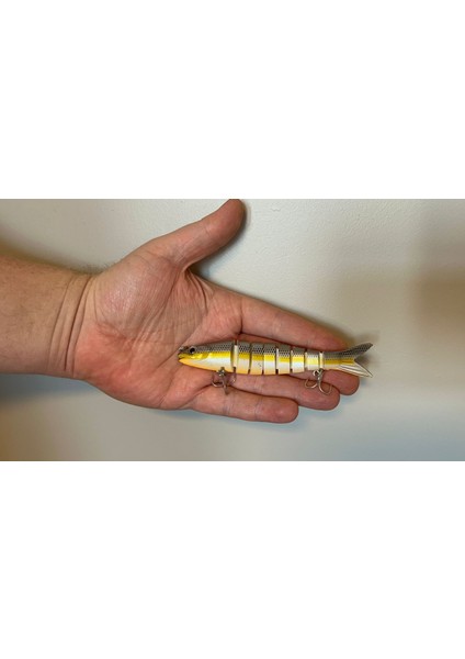 Eklemli Segmentli 8 Parçalı Suni Balık Yemi Tatlısu & Tuzlu Su 19G, 13.5cm fiyatları