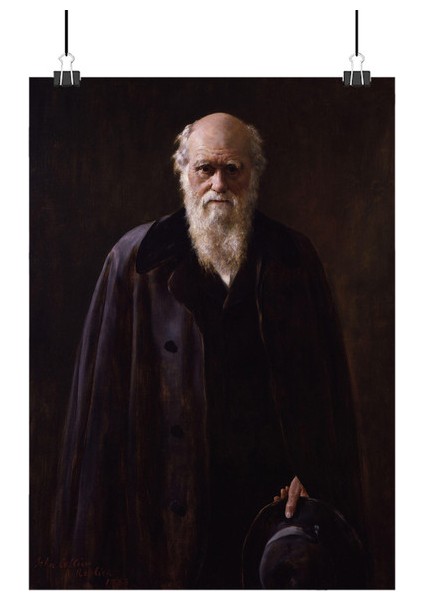Charles Darwin Poster1 - Retro Duvar Dekoru
