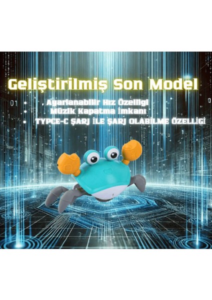 Yürüyen Yengeç Oyuncak-Hareketli,eğlenceli,öğretici modelleri