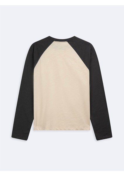 Uzun Kollu Slogan Baskılı Crop Krem Sweatshırt fiyatları