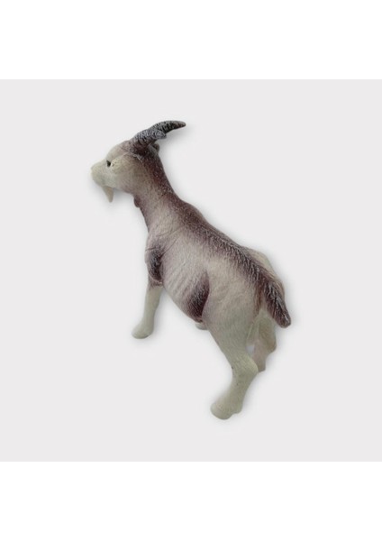 Çiftlik Hayvanları - Keçi (Lisinya) modelleri