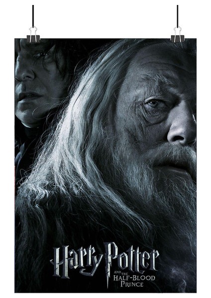 Albus Dumbledore Poster7 - Retro Duvar Dekoru