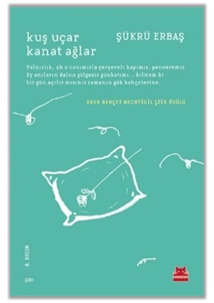 Kuş Uçar Kanat Ağlar