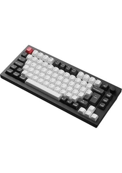 Keychron Q1 Hall-Effect%75 Rgb Türkçe Switch Kablosuz Siyah Beyaz Mekanik Klavye modelleri
