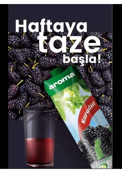 Karadut Meyve Suyu 1 Lt fiyatları