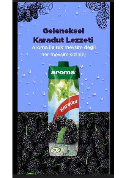 Karadut Meyve Suyu 1 Lt modelleri