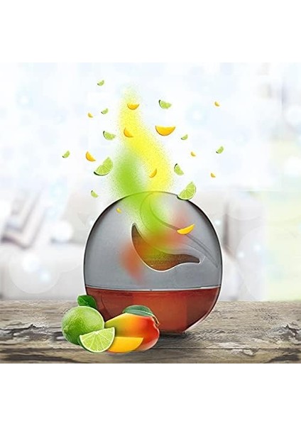 Wick Deco Sphere Greyfurt & Portakal Çiçeği Ikili Paket Oda Kokusu 30 Gün Etkili modelleri