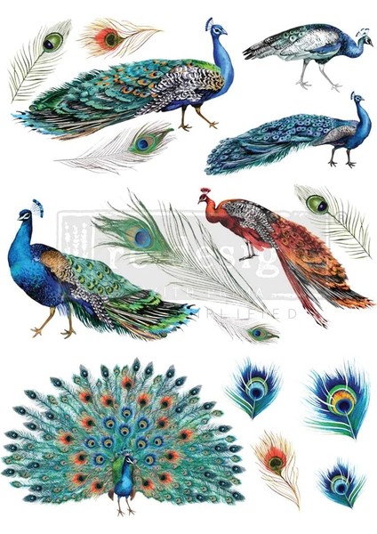Peacock Transfers®-Peacock Boyut 61 cm x 83 cm - 3 Yaprak - Toplam Tasarım Boyutu 61 cm x 83 Cm/rub-Ons