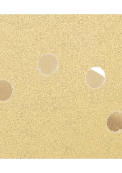 Professional Accessories C450 For Purpose, Zımpara Diski modelleri