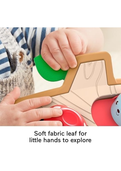 Price Sürprizli Arkadaşlar, Kumaş Ayrıntılı, Ağaç Temalı Aktivite Oyuncağı, 9 Ay ve Üzeri Bebekler Için GJW24, Çok Renkli fiyatları