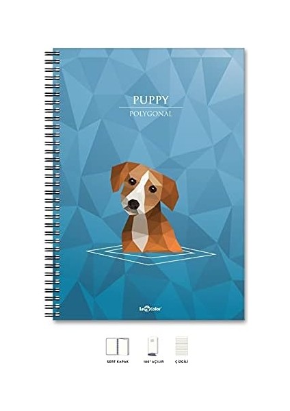 A4 Defter Çizgili 200 Syf Köpek Polygonal fiyatları