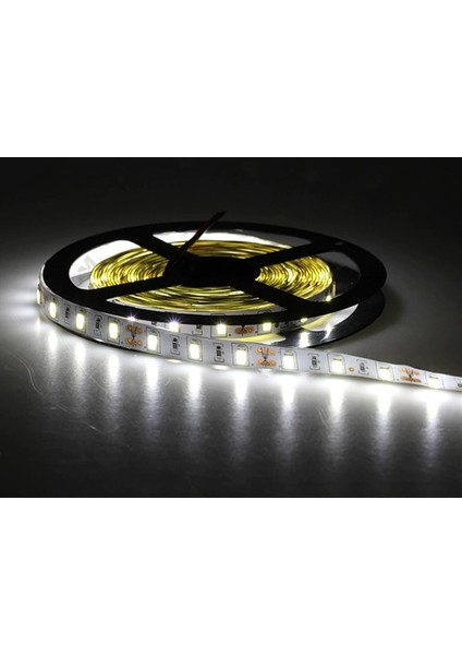 CT-4535 5630 Gold Serisi Yüksek Lümen Şerit LED Beyaz 12V 5mt ( 1700LM )
