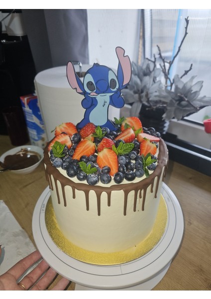 Stitch Pasta Süsü fiyatları
