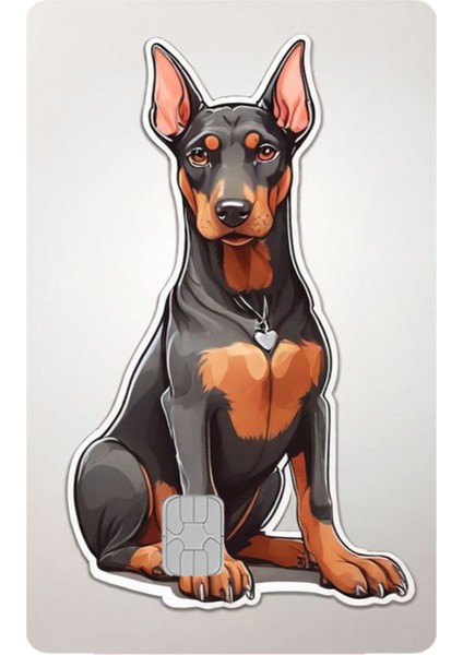 Kart Kaplama Sticker Banka Kredi Kartı Kaplama Stickeri KK1608