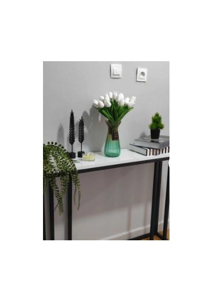 Dekoratif Modern Tüy Yaprak Takımı - Black-Siyah fiyatları