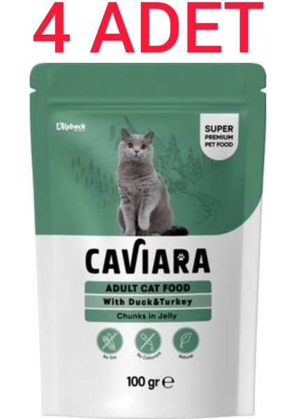 Pouch Jöle Içinde Et Parçacıklı Ördek ve Hindi Etli Yetişkin Kedi Pouch Islak Mama 100 Grx4