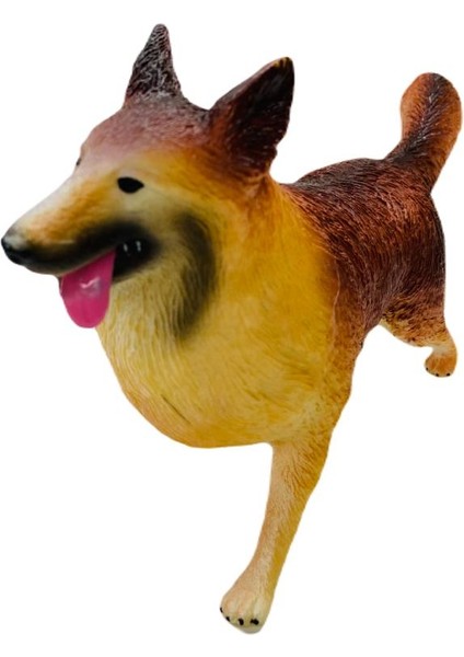 Soft Köpekler - Golden Retriever Cinsi Köpek - E013 (Lisinya) modelleri