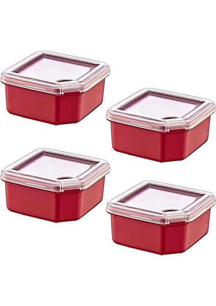 4&apos;lü Q-Box Saklama Kabı Carmen 350 ml