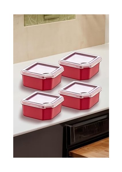 4&apos;lü Q-Box Saklama Kabı Carmen 350 ml fiyatları