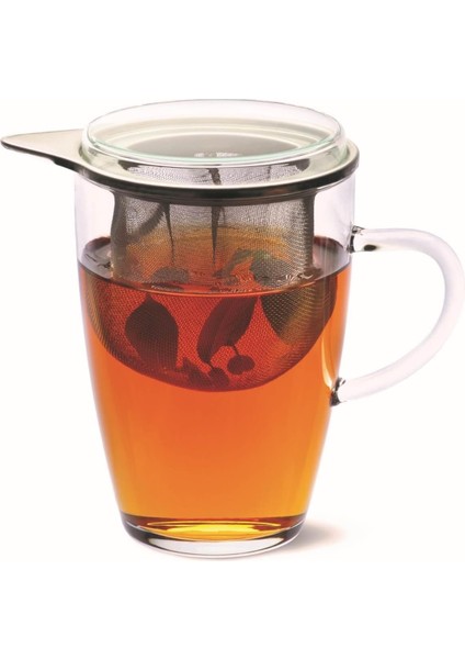 Bitki Çayı Kupası 0,35 Lt – Tek Kişilik Cam Demlik – Metal Süzgeçli & Kapaklı – Borosilikat – Kurşunsuz – Şeffaf