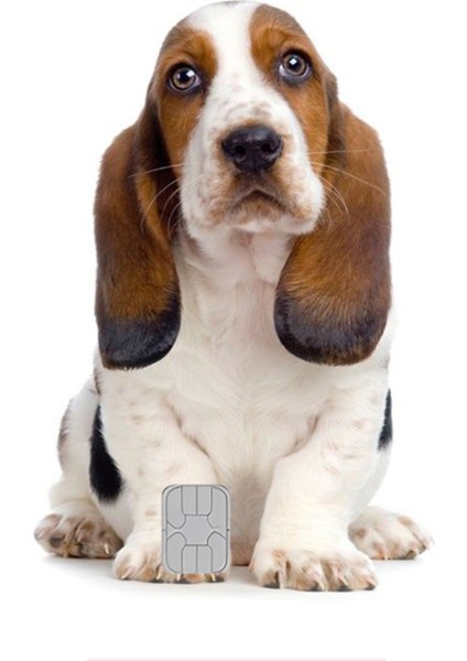 Kart Kaplama Sticker Banka Kredi Kartı Kaplama Stickeri KK1303