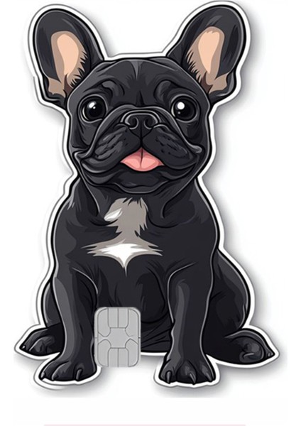 Kart Kaplama Sticker Banka Kredi Kartı Kaplama Stickeri KK1447