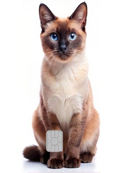 Kart Kaplama Sticker Banka Kredi Kartı Kaplama Stickeri KK1505