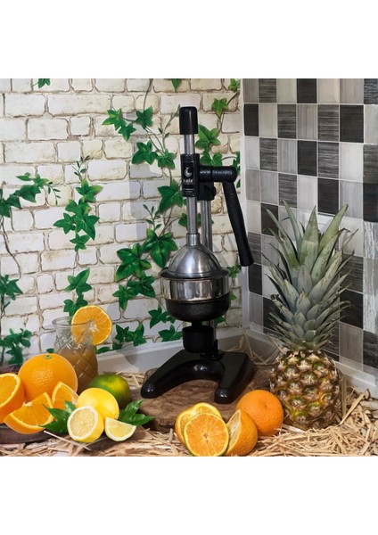 1701 Meyve Presi (Industrıal Type Fruıt Press) modelleri