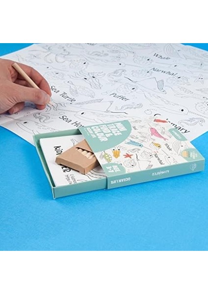 4 Seasons / 4 Mevsim 4&apos;ü 1 Arada Puzzle (Yapboz) / 6 * 4 24 Parça 2+ Yaş fiyatları