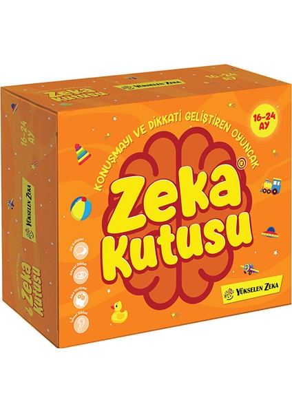 Zeka Kutusu 16-24 Ay 1 Adet