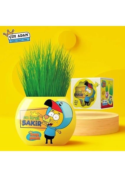 Kral Şakir Temalı Çim Adam 6&apos;lı Set – Çocuklar Için Eğitici ve Bitki Yetiştirme Kiti fiyatları