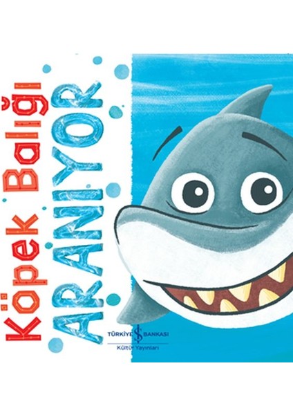 Köpek Balığı Aranıyor