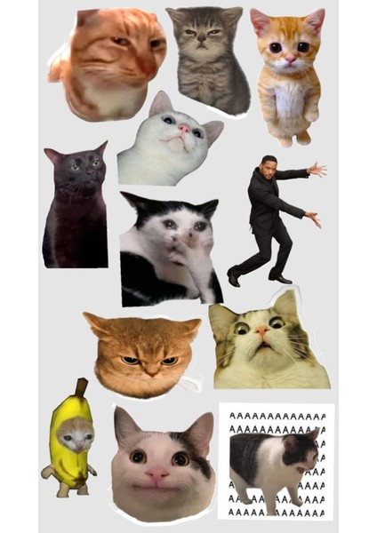 Kedi Telefon Laptop Notebook Tablet Defter Matara Stiker Etiket ST2061
