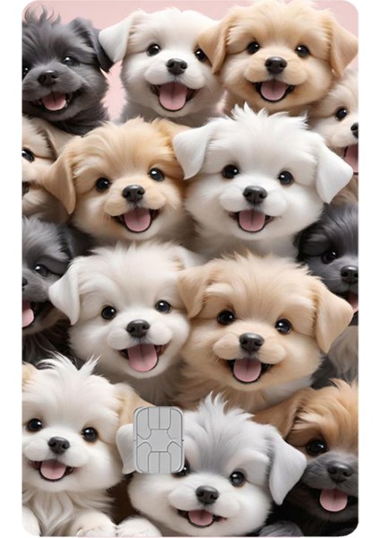 Kart Kaplama Sticker Banka Kredi Kartı Kaplama Stickeri KK1353