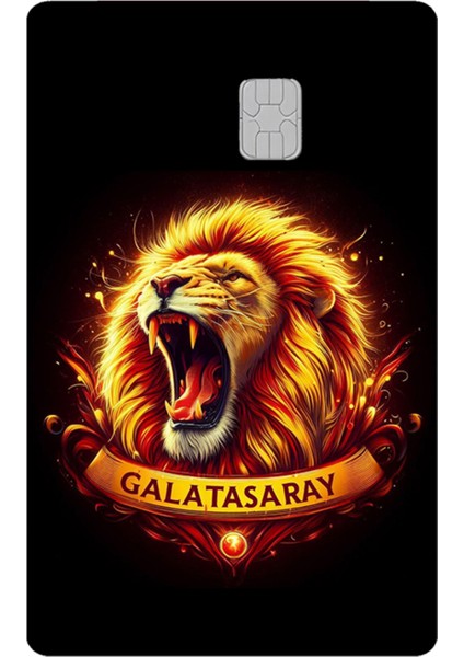 Kart Kaplama Sticker Banka Kredi Kartı Kaplama Stickeri KK1516