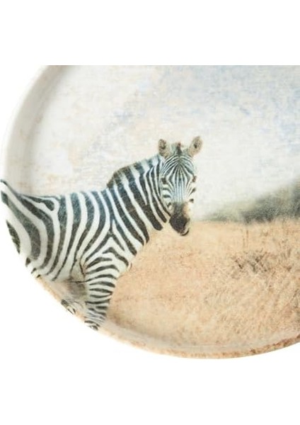 Concept Pasta Tabağı 20 Cm, Zebra modelleri