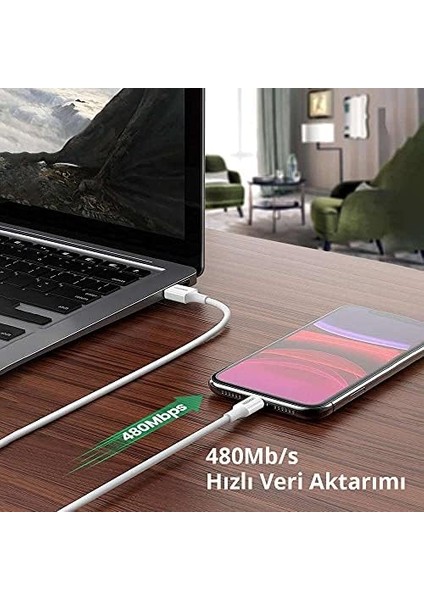 Lightning 2.4A Data ve Şarj Kablosu Siyah 1 Metre fiyatları