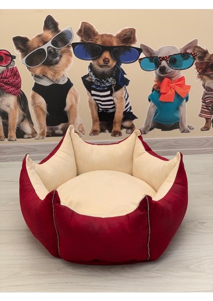 Özel Tasarım Taş Detaylı Kedi Köpek Yatağı 50 cm