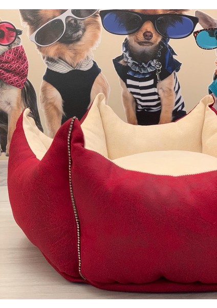 Özel Tasarım Taş Detaylı Kedi Köpek Yatağı 50 cm fırsatları