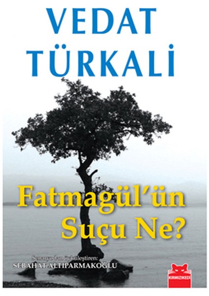 Fatmagül'ün Suçu Ne?