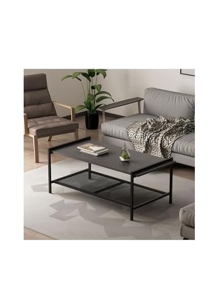 Dizayn Lara Orta Sehpa fiyatları