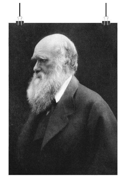 Charles Darwin Poster2 - Retro Duvar Dekoru