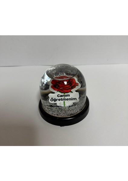 Öğretmenler Gününe Küre