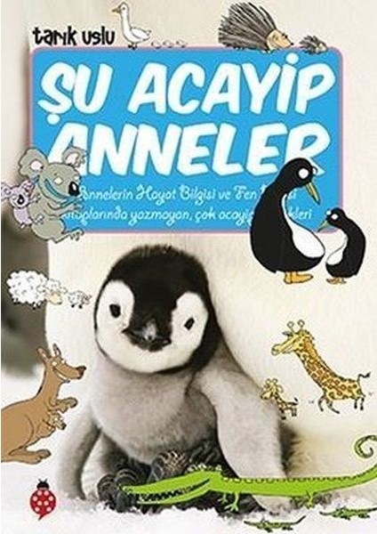 Şu Acayip Anneler