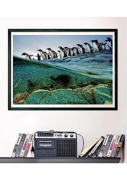 1000 El. Compact Geographic fiyatları