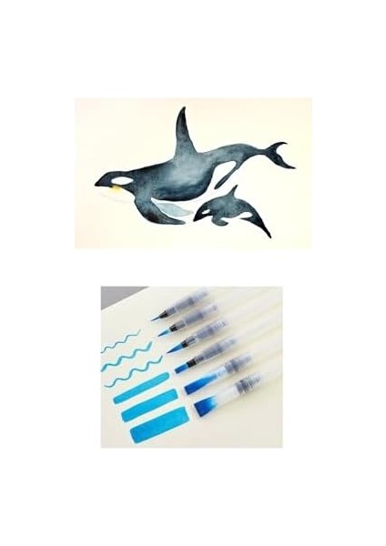 Su Hazneli Sulu Fırçası 6&apos;lı Paket modelleri