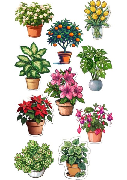 Bitki Çiçek Telefon Laptop Notebook Tablet Defter Matara Stiker Etiket ST2155