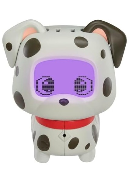 Petz Dalmaçyalı modelleri